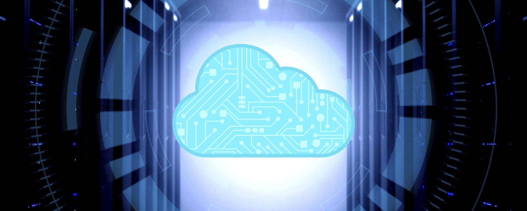 IT and Networking Solutions